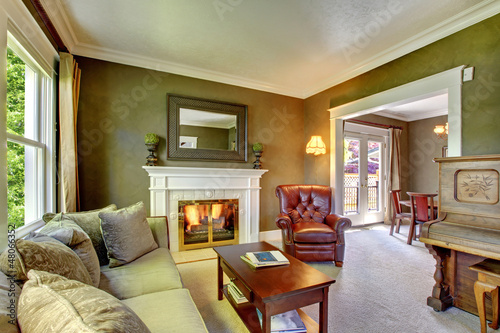 Photo: Elegant classic green living room with fireplace and piano. Elegant classic green living room with fireplace and piano.