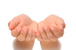 Beautiful cupped hands of young woman - cut out on white
