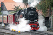 Foto: Dampflokomotive der Harzer Schmalspurbahnen Dampflokomotive der Harzer Schmalspurbahnen
