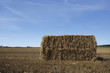 Hay Bale
