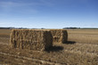 Hay Bale