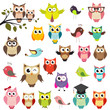 set of owls