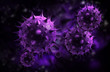 sars virus