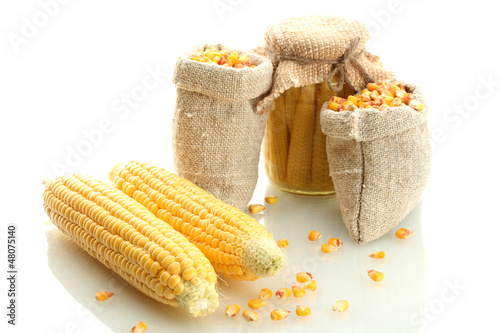 Photo: fresh corn and bags with dry corn, isolated on white fresh corn and bags with dry corn, isolated on white