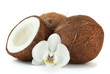 Coconuts with flower, isolated on white