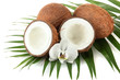 Coconuts with leaves and flower, isolated on white