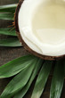 Coconut with leaves, on grey wooden background
