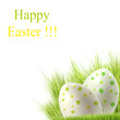 easter eggs on green grass 