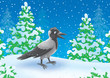 Crow walking in a snow-covered winter forest