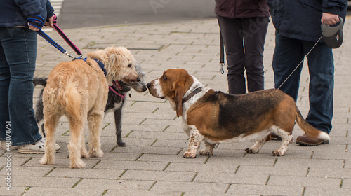 Photo: The Greeting The Greeting