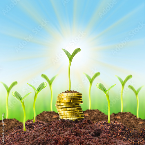 Photo: Money growth. Investment concept. Money growth. Investment concept.