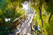 Japanese bridge