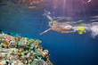 Woman scuba diver pointing to corals