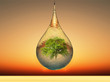 drop and tree