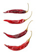 Photo: Puya Chili Peppers Puya Chili Peppers