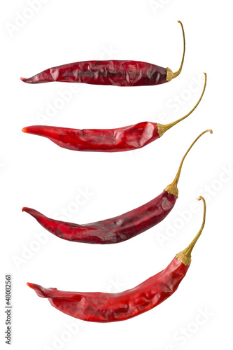 Photo: Puya Chili Peppers Puya Chili Peppers