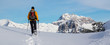 Schneeschuhwanderung in den Alpen