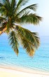 Tropical beach