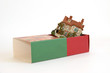 Cottage in a gift box on white background