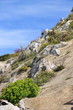 Foto: Kalksteinfelsen, Gibraltar Kalksteinfelsen, Gibraltar