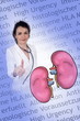 Organspende