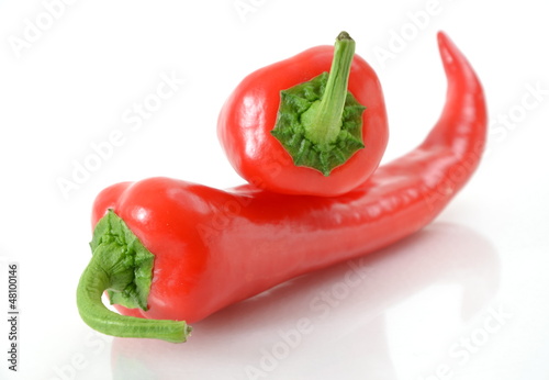 Photo: Paprika Paprika