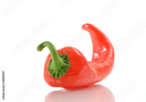 Photo: Paprika Paprika