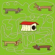 dog - labyrinth