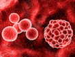 red molecules