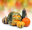Harvested pumpkins