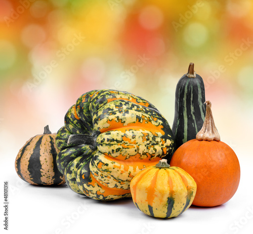 Photo: Harvested pumpkins Harvested pumpkins
