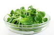 Foto: Feldsalat Feldsalat