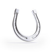 Illustration: Silver horseshoe Silver horseshoe