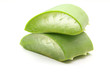 aloe vera in white background