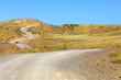 steppe
