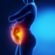 Pregnant woman with visible fetus