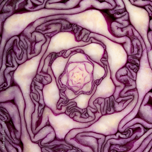 Photo: Cabbage cut Cabbage cut
