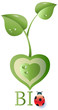 bio cuore su fondo bianco