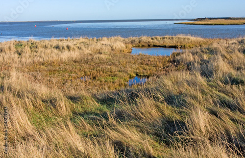 Photo: Wetlands view Kent scene Wetlands view Kent scene