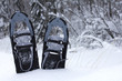 snow shoes in the snow
