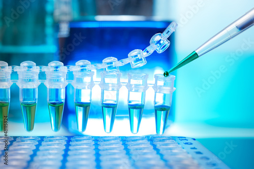 Photo: Tubes for DNA amplification Tubes for DNA amplification