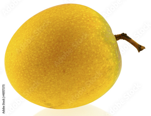 Photo: mangue mangue