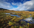 wet landscape - early spring