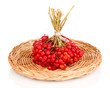 red berries of viburnum on wicker mat isolated on white