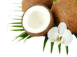 Coconuts with leaves and flower, isolated on white