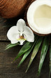 Coconut with leaves and flower, on grey wooden background