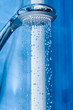 Shower in a bathroom
