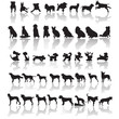 Dog silhouettes