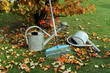 GartenHerbst_0032