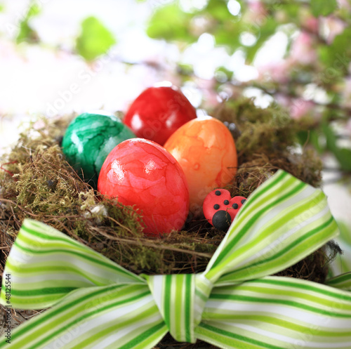 Photo: Osternest mit Frühlingsblumen auf weiss Osternest mit Frühlingsblumen auf weiss